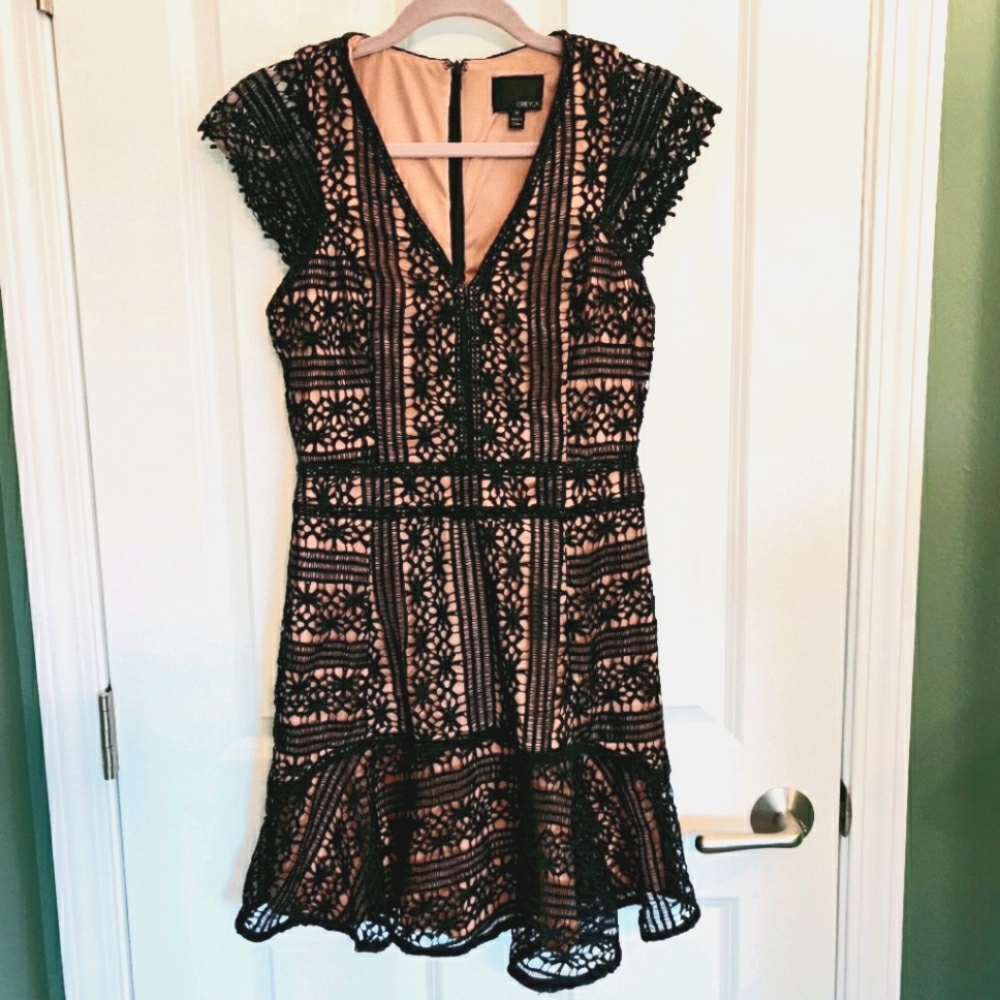 Greylin (Anthropologie) Lace Dress - Picture 1 of 7